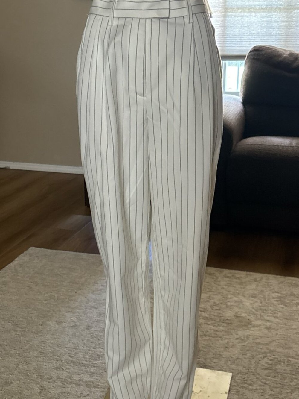 NWT Steve Madden Rumi Pinstripe Pants Size S High Rise Pleated Wide Leg Trouser